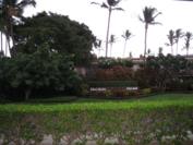 Kihei Akahi - from Beach