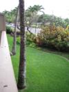 A101 - Top Lanai - View