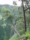 Hike Honomanu Valley