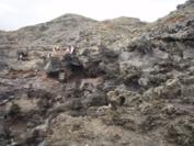 Hiking the West Maui Coast